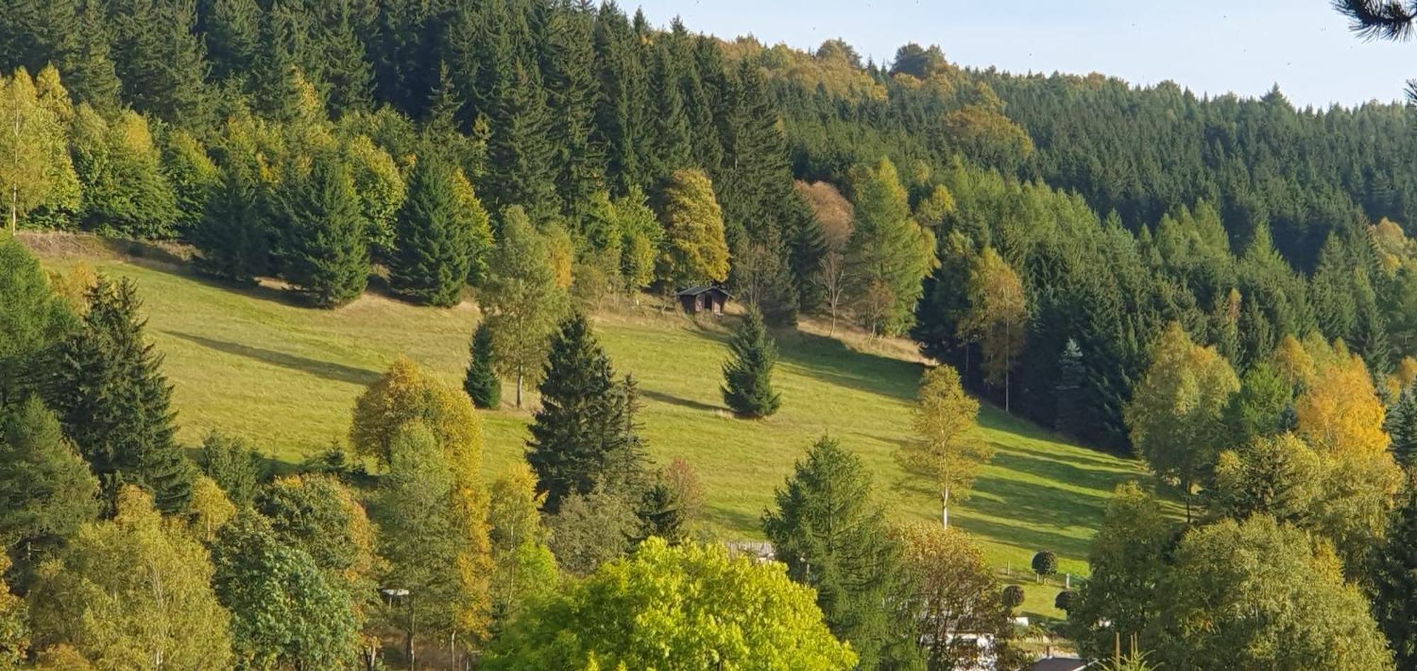 Die Alte Baeckerei Jöhstadt Exteriér fotografie